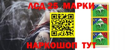 дживик Кандалакша