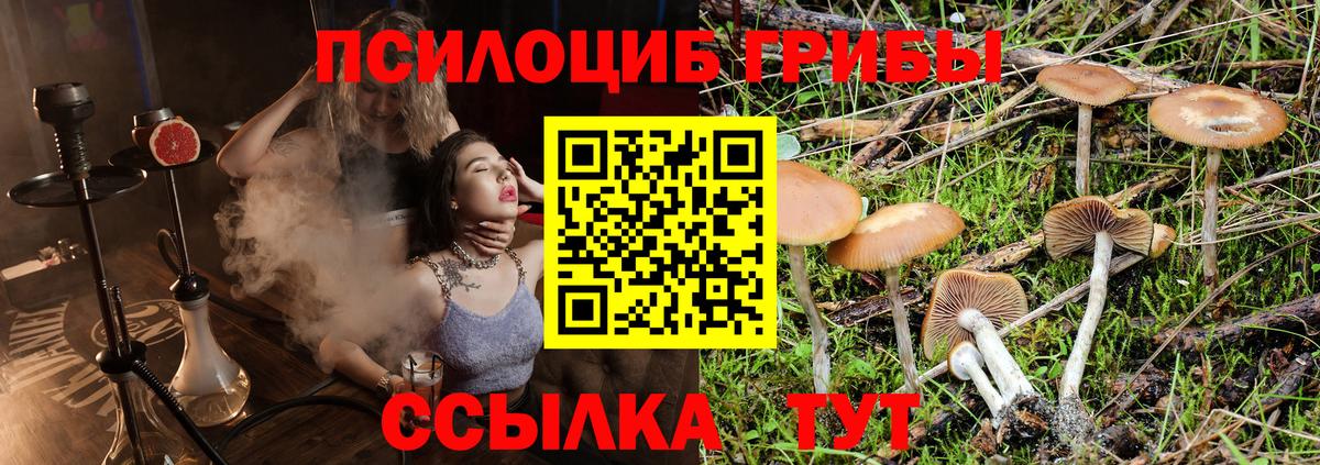 Псилоцибиновые грибы мицелий Кудымкар